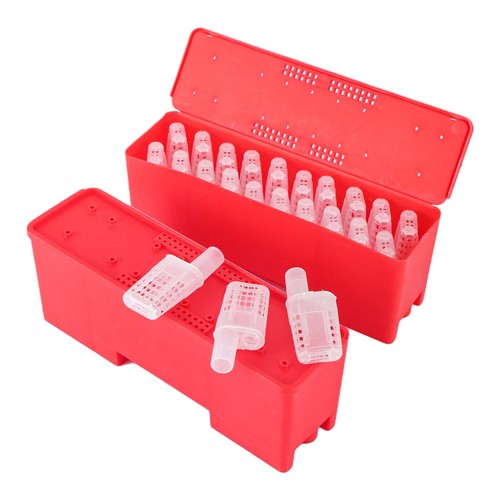Gabbia regina per - , plastica