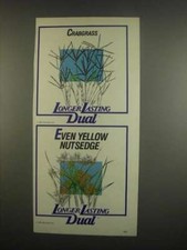 Pubblicità doppia Ciba-Geigy