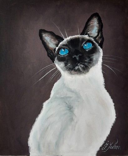 Gatto siamese dipinto