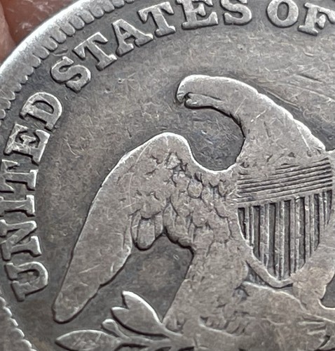 Bellissimo 1839 seduto - , liberty