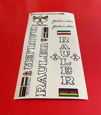 RAULER GRAFICA BIANCA adesivi/stickers