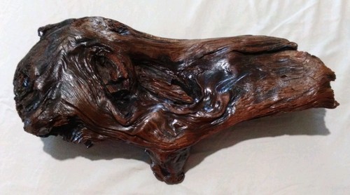 Legno arte driftwood - arte,