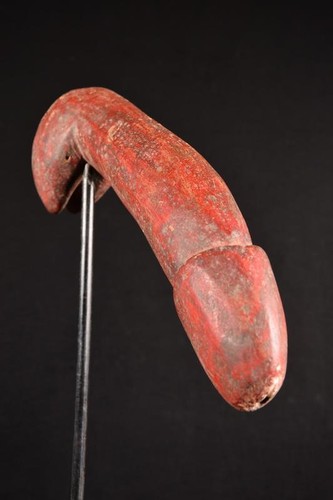 Primitive penis phallo - a,