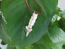 Collana con dente di squalo e