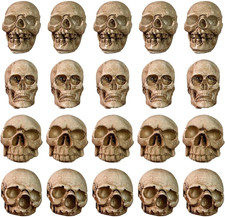 Decorazione Mini Teschi - 20 Pezzi Piccole Teste Scheletriche - Piccoli Teschi i