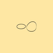 Kit Cinghia per Autoradio Becker Europa 594