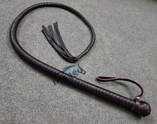 Frusta segnaletica pelle 4