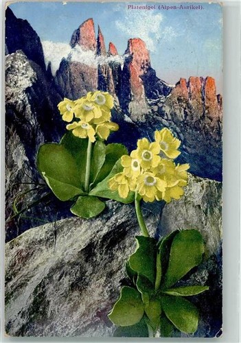 39637398 dolomiti alpi - 39637398,