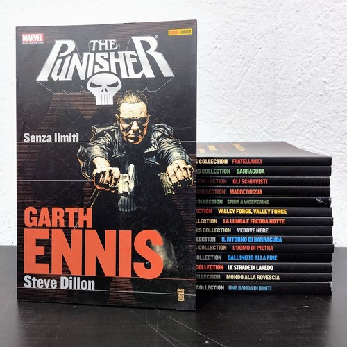The punisher garth ennis - punisher,