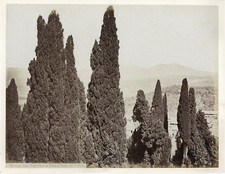 Italie roma cipressi - roma,, a