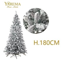 Albero Di Natale Abete