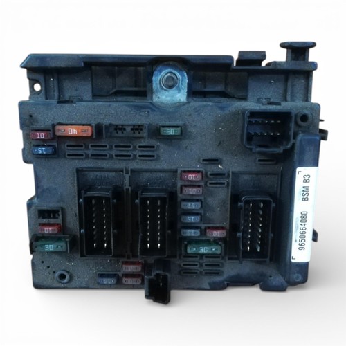 Centralina bsm per peugeot 307 - bsm,