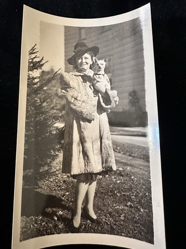 Foto istantanea vintage cane