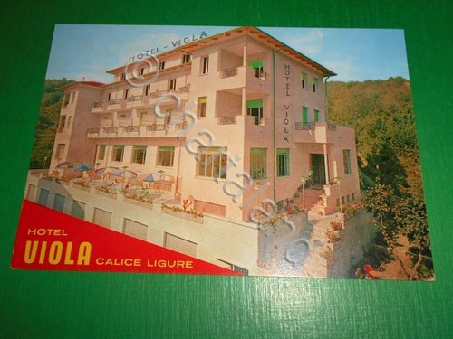 Cartolina calice ligure - calice,