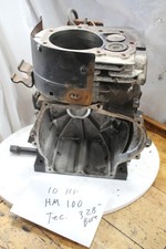hm100 Tecumseh 10 HP Snow King