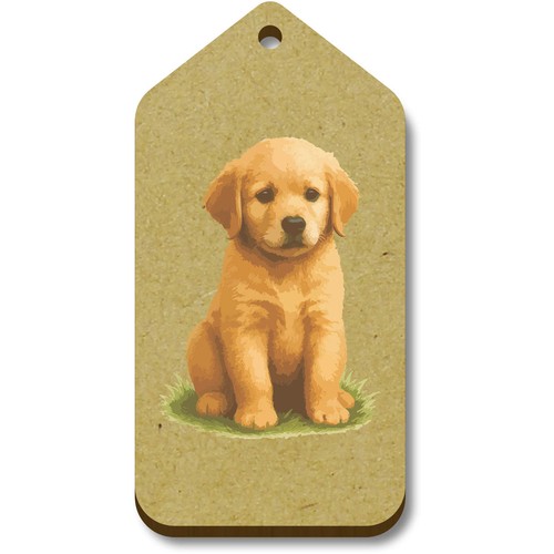 Golden retriever cucciolo - 'golden,