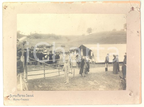 1898 area roma - 1898, ippica