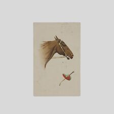 cartolina illustrata originale Cavallo da corsa VG