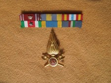 FREGIO DISTINTIVO MEDAGLIERE