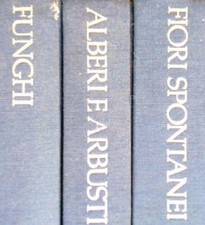 Cofanetto guida pratica agli - cofanetto,