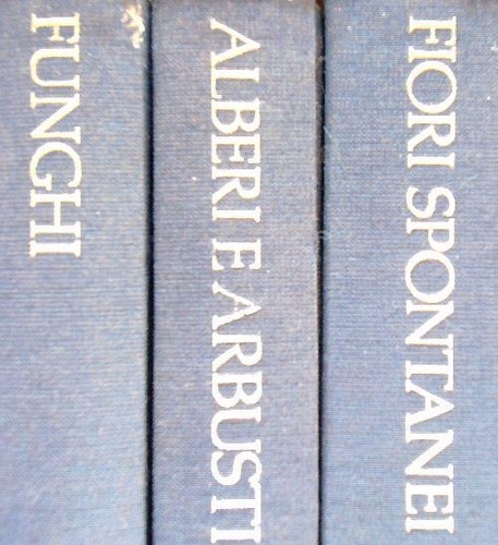 Cofanetto guida pratica agli - guida,