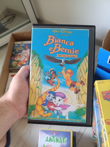 Bianca bernie nella terra - bernie,