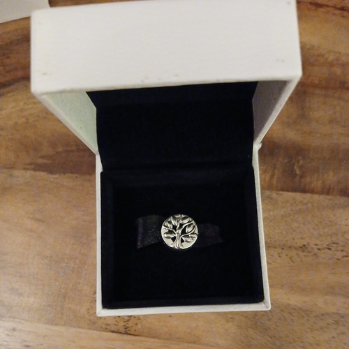 Charm pandora argento - (1415),