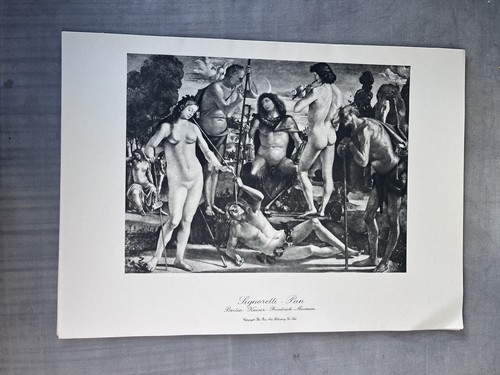 Pan luca signorelli - di,