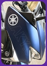  2 STICKERS ADESIVI DIAPASON