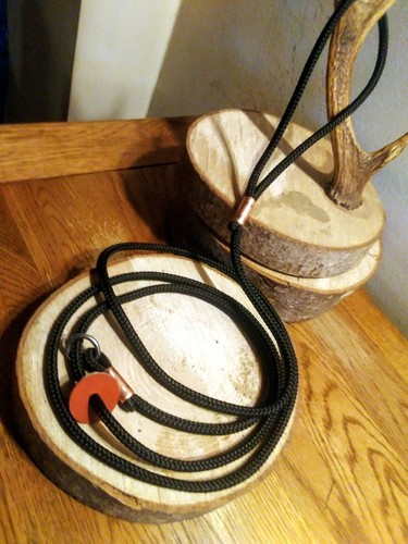 Guinzaglio scivolo cane