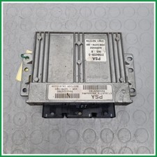 Centralina Motore Iniezione ECU Sagem Citroen C3 I 9650825180 2002 2005 Usato 