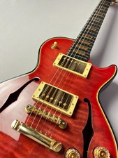Chitarra elettrica