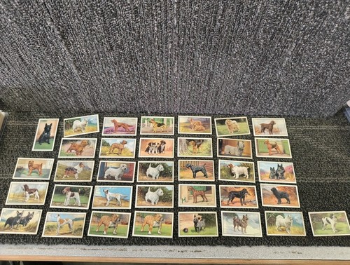 Cartoline sigarette cane - cartoline,