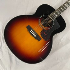 Chitarra elettrica acustica 12