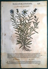 Stampa antica MATTIOLI