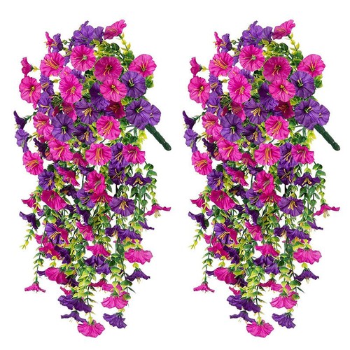 Gloria mattutina artificiale - gloria,