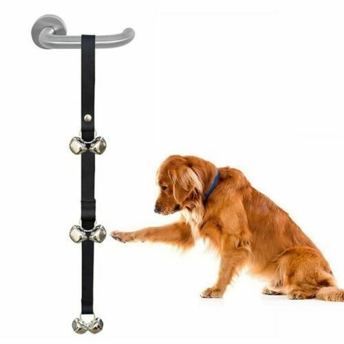Vasino per cani domestici