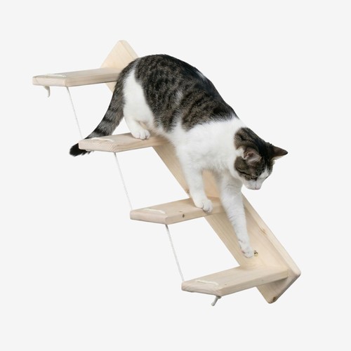 Scaletta per gatti - scaletta,