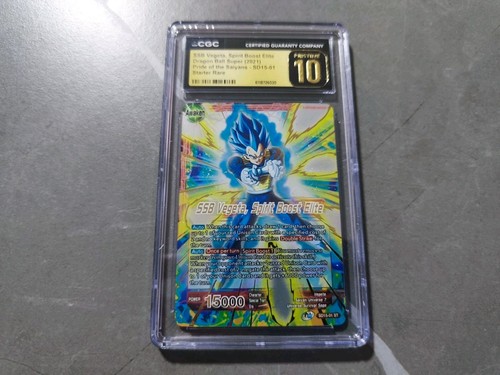 Ssb vegeta spirit - spirit, elite