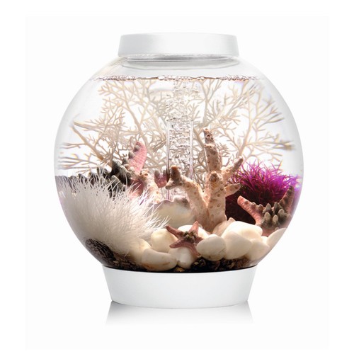 Oase biorb classic led - classic,