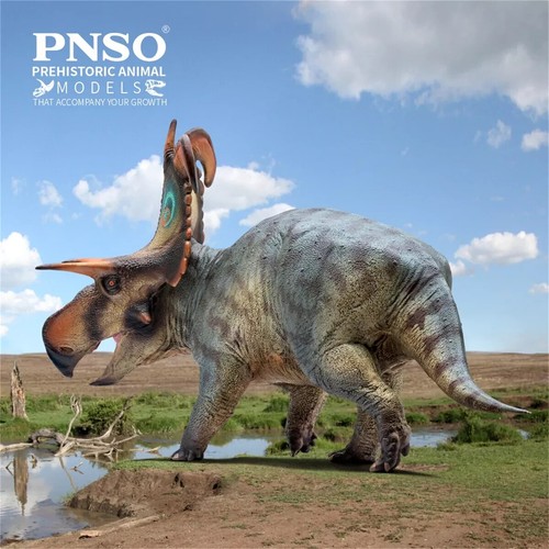 Pnso 2024 frederik - 2024,