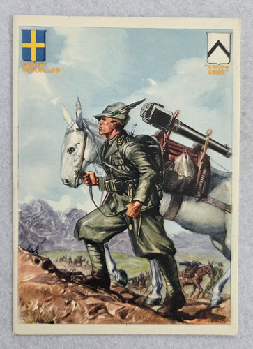Cartolina reggimentali alpini - cartolina,