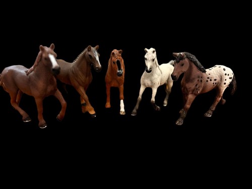 Cavalli schleich - cavalli,