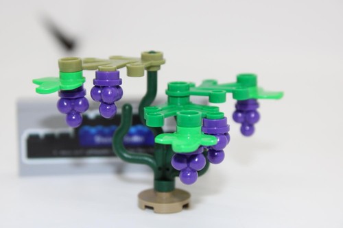 Lego uva vite - vite,