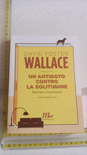 David foster wallace - david, un