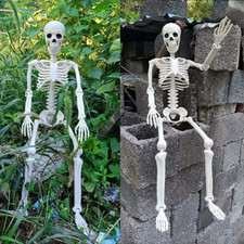 ✅️SCHELETRO UMANO 💀 DI