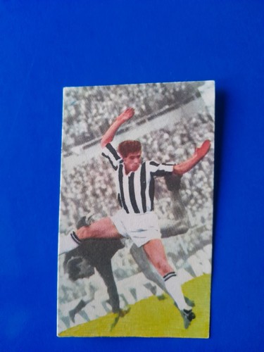 Figurina lampo 1964 - figurina, 1964/65