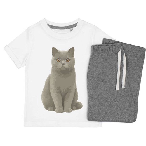 Alert british shorthair - british, cat'