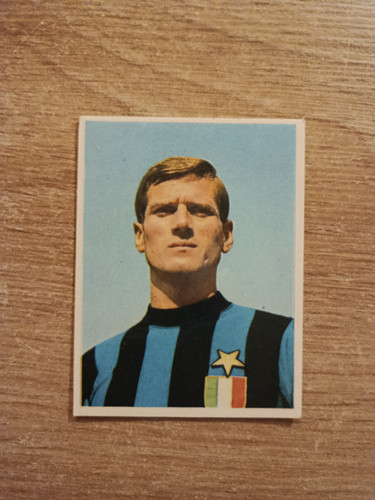 1966 imperia calciatori - imperia,