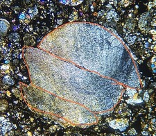 Meteorite NWA 14894 - bella